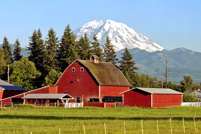 Mt. Rainier National Park Highlights Tour - Summer-Only Add-Ons: Sunrise Visitor Center and Tipsoo Lake