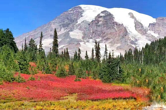 Mt Rainier National Park Small Group Day Tour from Seattle 2CanGo - What’s Included, And How That $148 Day Trip Value Adds Up