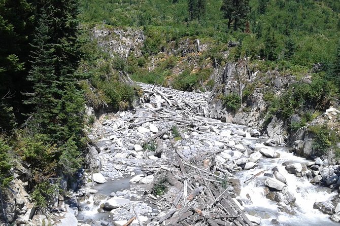 Mt Rainier Private Tour Experience in SUV - 9:00 am Pickup and Easy Transfers From Seattle, SEA, or a Cruise Port