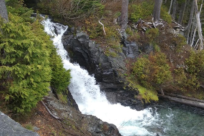 Mt Rainier Private Tour Experience in SUV - The Drive Matters: Comfort, Snacks, and Water That Keep You Going