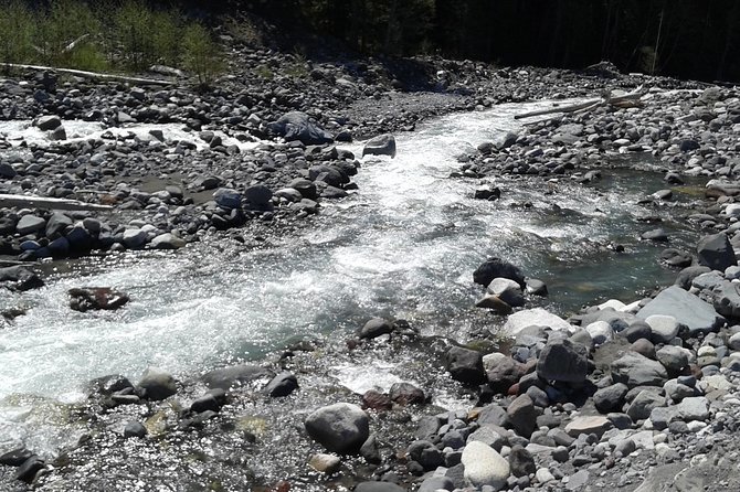 Mt Rainier Private Tour Experience in SUV - Price and Value: Is $462.36 Per Person Fair?