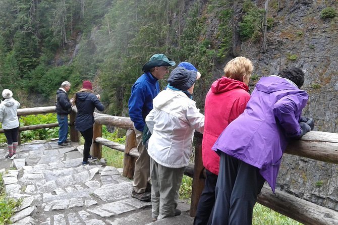 Mt Rainier Private Tour Experience in SUV - Weather, Parking, and the Guide’s Job in Real Life