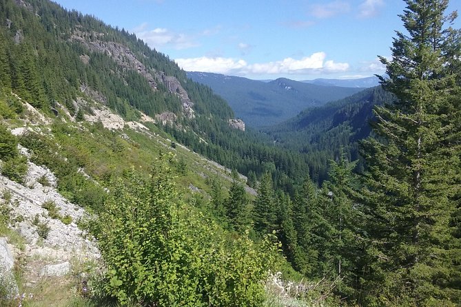 Mt Rainier Private Tour Experience in SUV - Who This Tour Fits Best (and Who Might Want Something Else)