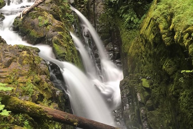 Olympic National Park Day Tour from Seattle - Key things I’d highlight before you book