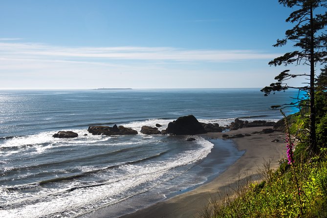 Olympic National Park Day Tour from Seattle - Salt Creek Tide Pools or Dungeness Spit: The Coast Stop With the Biggest Variable