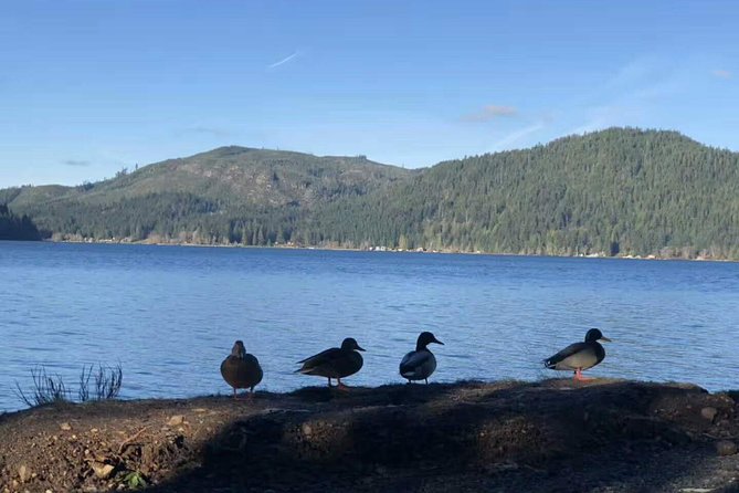 Olympic National Park Small Group Day Tour w/Scenic Ferry 2CanGo - Guide impact is the real difference: personalities you’ll notice
