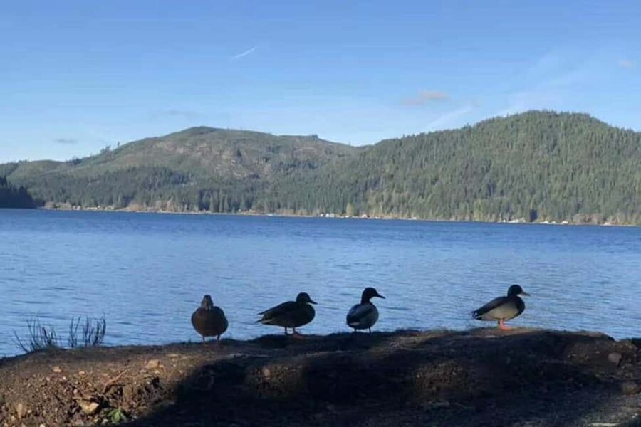 Olympic National Park Small Group Day Tour w/ State Ferries - A car-to-park day that starts with Puget Sound ferry time