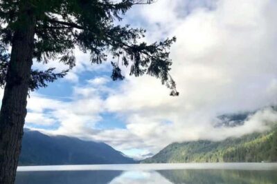 Olympic National Park Small Group Day Tour w/ State Ferries