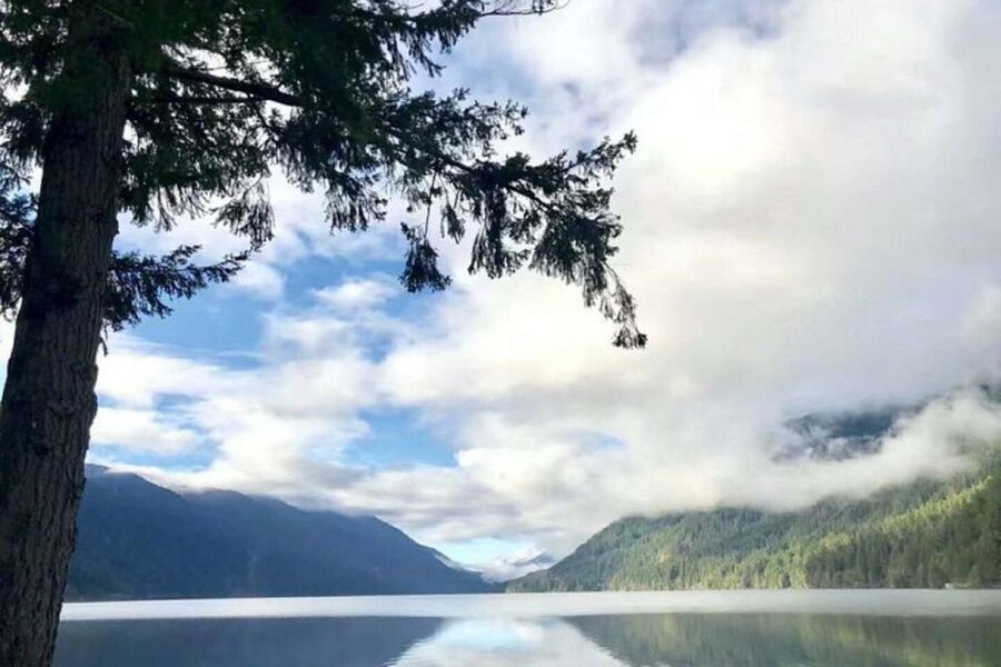Olympic National Park Small Group Day Tour w/ State Ferries - What you get for the $148 price, and how to judge the value