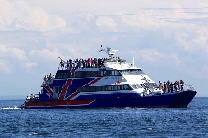 Only Wildlife and Whale Watching Tour Leaving from Seattle - Food and Photo Stops: Keeping Your Energy Up