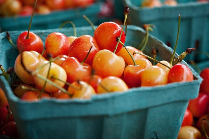 Plant Based in Pike Place Food Tour - maíz, Woodring, and Sosio’s: the vegan pantry tour you didn’t know you needed