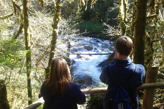 Private Cascade Mountains and Waterfalls Tour from Seattle - Stevens Pass Scenic Byway: Big Mountain Views Without the Stress