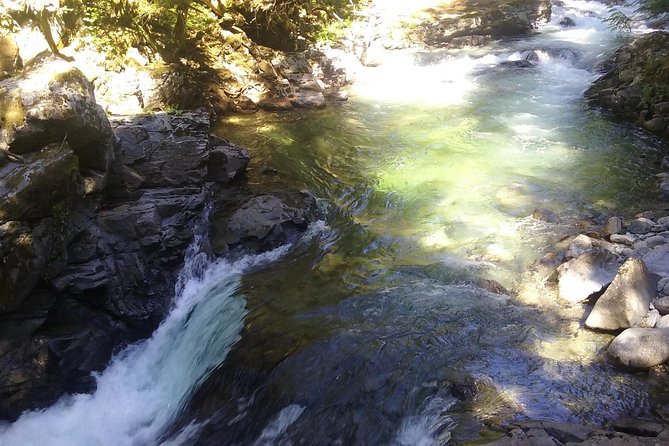 Private Cascade Mountains and Waterfalls Tour from Seattle - Guide Style, Including Dan, and Why a Good Driver Changes Everything