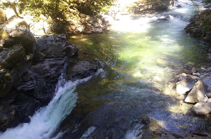 Private Cascade Mountains and Waterfalls Tour from Seattle - Price and Value at $352.02 Per Person