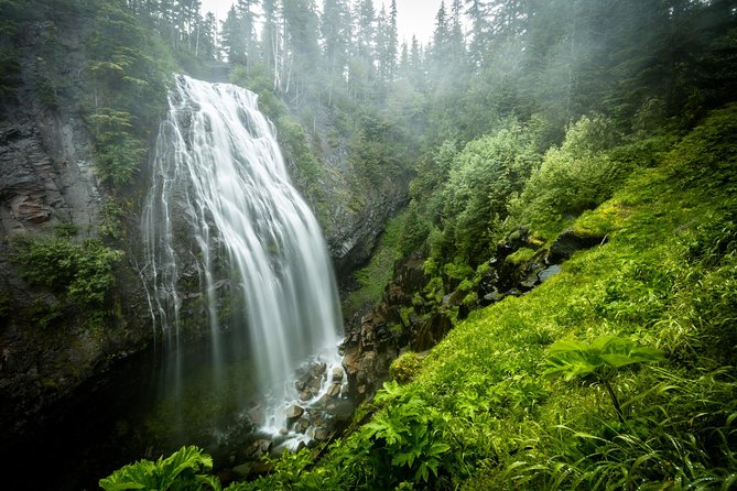Private Mt Rainier National Park Day Trip from Seattle - Private pickup from Seattle: why it changes the whole day