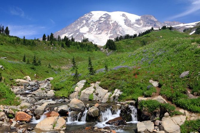 Private Mt Rainier National Park Day Trip from Seattle - Stop 4: Paradise Valley and the visitor center at about 5,400 feet
