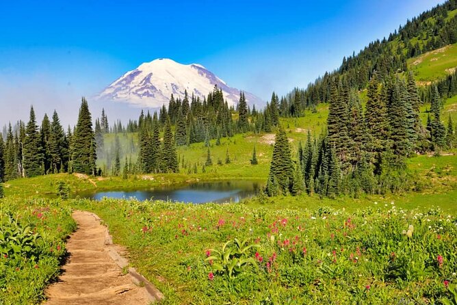 Private Mt Rainier National Park Tour in SUV - Quick reasons this Mt Rainier day feels efficient