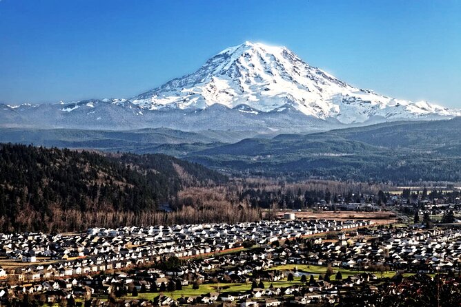Private Mt Rainier National Park Tour in SUV - Private SUV Comfort, Real Seattle Pickup, No Transit Headaches