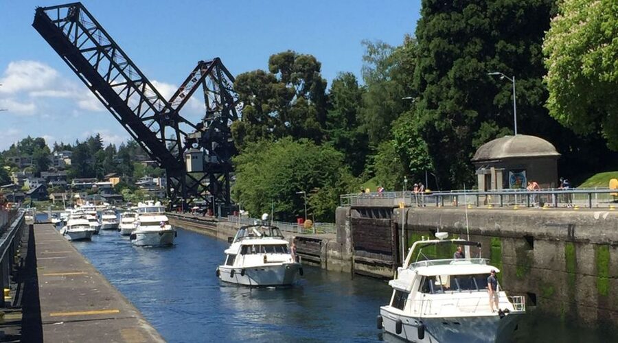 Seattle: 3-Hour City Highlights Tour - Seattle In 3 Hours, With Fewer Decisions
