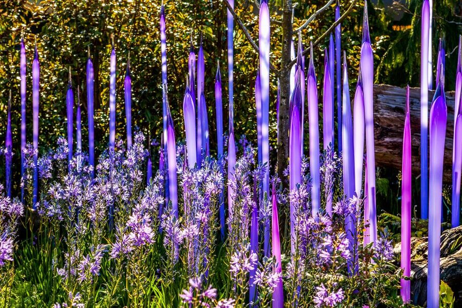 Seattle: Chihuly Garden and Glass Entry Ticket - Key points I’d build your day around