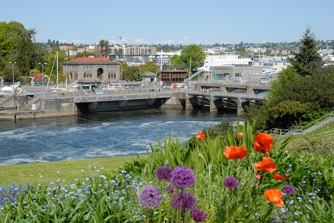 Seattle City Highlights Tour - Seattle City Highlights Tour: a smart way to get your bearings