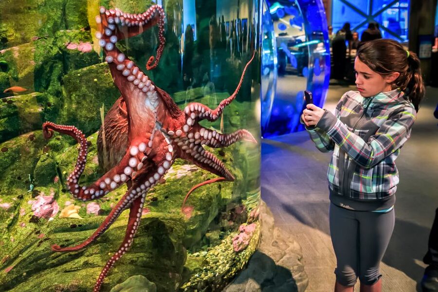Seattle CityPASS®: Save up to 46% at 5 Top Attractions - Space Needle day and night: two top visits in 24 hours
