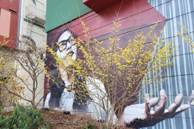 Seattle Coffee Crawl-Small Group Tour