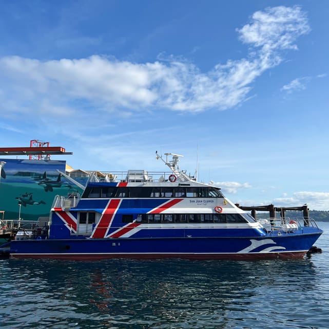 Seattle: Half-Day Wildlife and Whale Watching Cruise - Should you book this Seattle whale watching cruise?