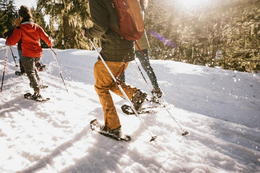 Seattle: Longmire in Mount Rainier Winter Day Tour - Guided Trail vs. Snowshoe Day: How You’ll Actually Spend Your Time