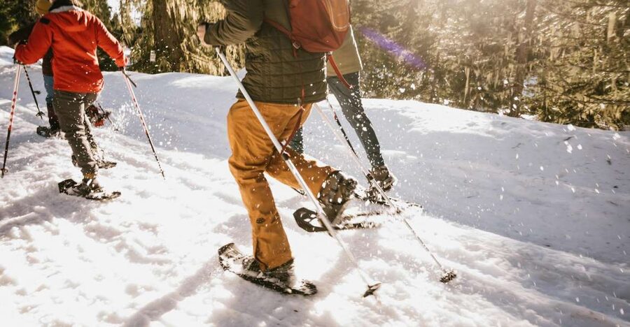 Seattle: Longmire in Mount Rainier Winter Day Tour - Tour Limits: Lower Elevations Only, No Paradise Stop