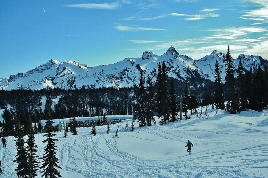 Seattle: Mount Rainier Park All-Inclusive Small Group Tour - Who Should Book This Tour (and Who Should Skip It)