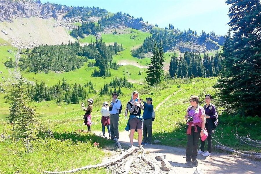 Seattle: Mount Rainier Park All-Inclusive Small Group Tour - Weather Is the Real Itinerary, So Dress for Rain or Shine