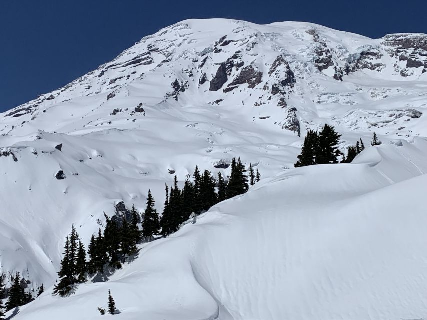 Seattle: Mt. Rainier Park Guided Full-Day Tour - Key highlights worth your attention