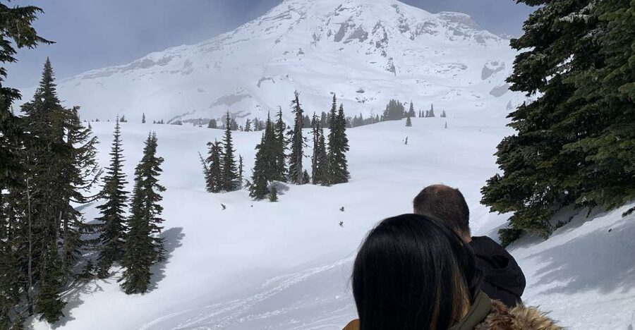 Seattle: Mt. Rainier Park Guided Full-Day Tour - Seattle to Rainier: the morning drive that sets the tone