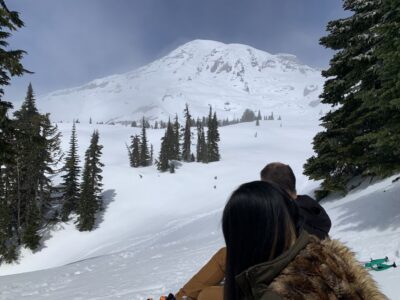 Mt. Rainier Park Guided Full-Day Tour