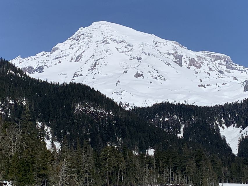 Seattle: Mt. Rainier Park Guided Full-Day Tour - Guided walking among glaciers, forests, and waterfalls