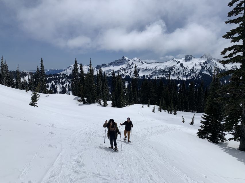 Seattle: Mt. Rainier Park Guided Full-Day Tour - Price and value: is $179 fair for a full Rainier day?