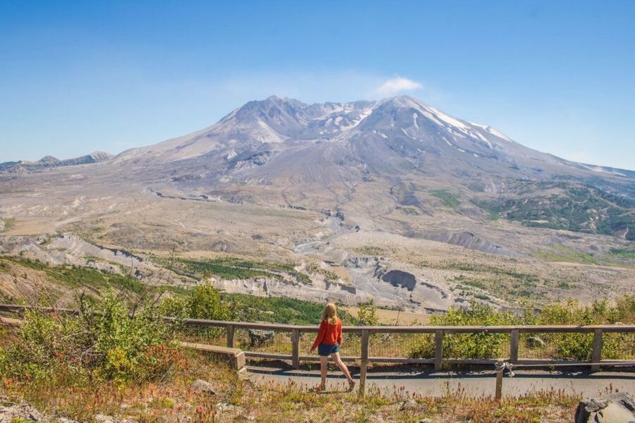Seattle: Mt. St. Helens National Monument Small Group Tour - Who This Tour Fits Best (and Who Should Skip)