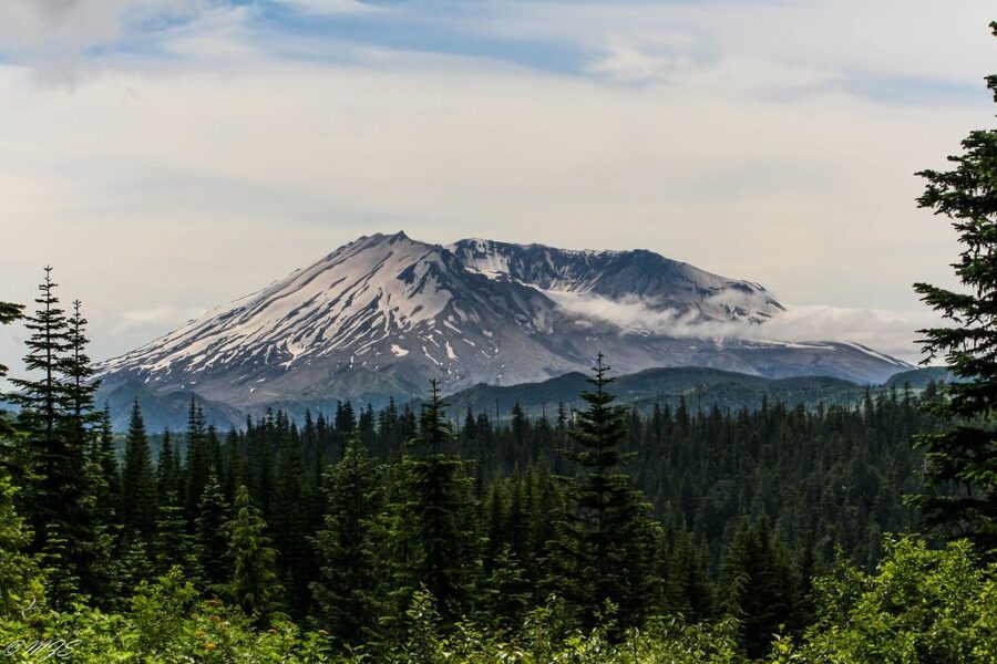Seattle: Mt. St. Helens National Monument Small Group Tour - Mt. St. Helens National Monument: Lunch and the Guided Walks