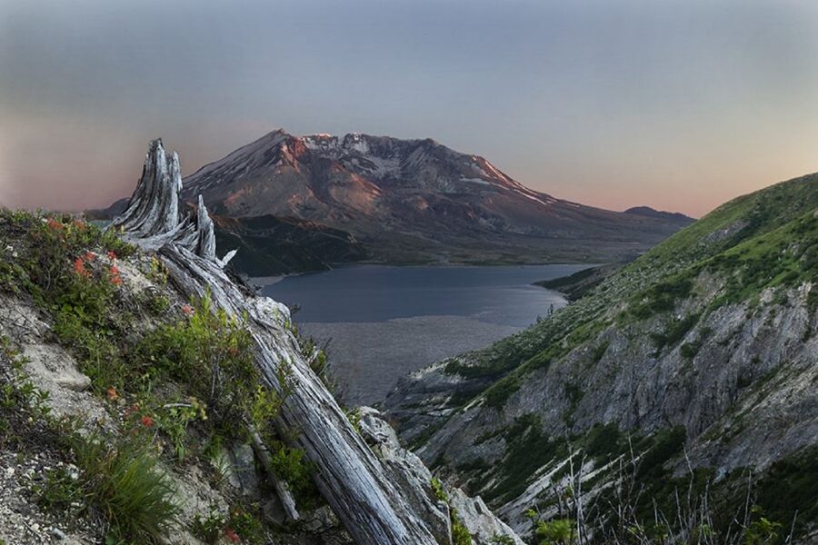 Seattle: Mt. St. Helens National Monument Small Group Tour - Price and Value for a 10-Person Naturalist Day