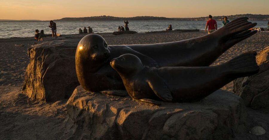 Seattle: Night Tour with Local Guide - Key points before you go