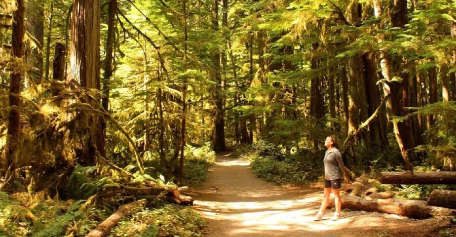 Seattle: Olympic National Park Small-Group Tour - Lake Crescent or Lake Quinault: How to See Olympic’s Water Up Close