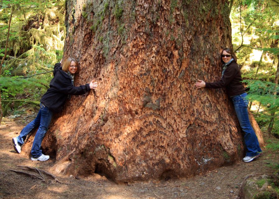 Seattle: Olympic National Park Small-Group Tour - Food, Coffee, and Snacks That Actually Keep You Comfortable