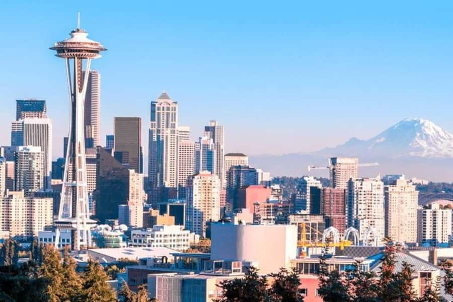 Seattle: Private custom tour with a local guide - Main Sights You Choose, Plus the City Between Them