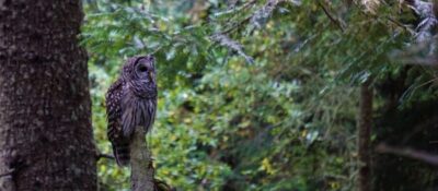 Private Whidbey Island & Deception Pass Tour