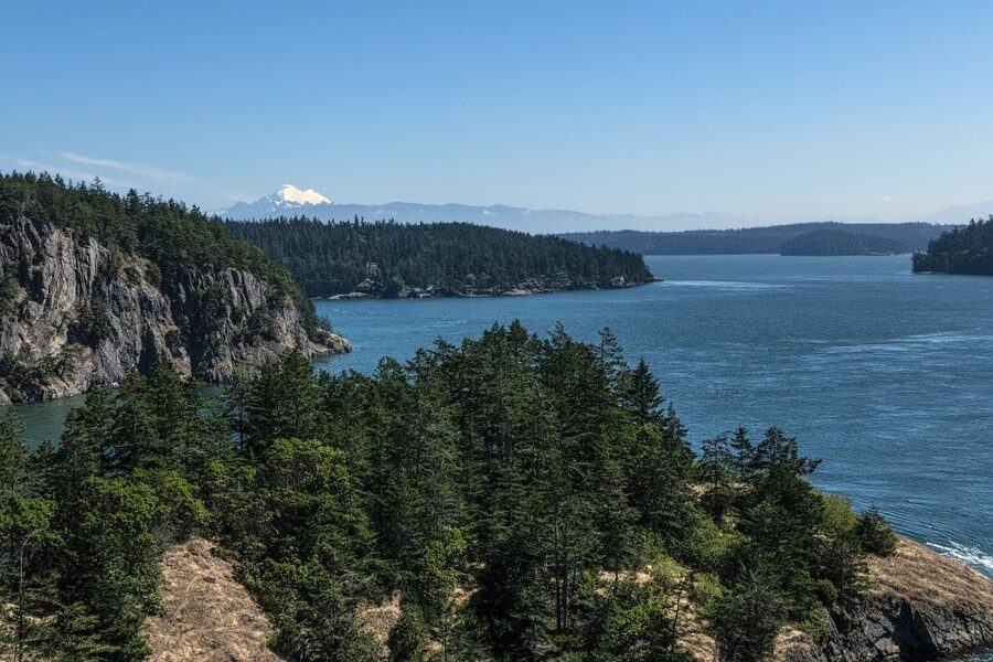 Seattle: Private Whidbey Island & Deception Pass Tour - Price and Value: What $307 Per Person Really Covers