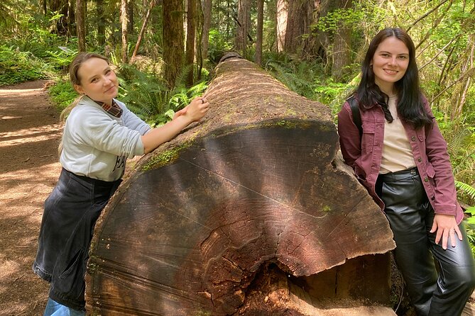 Seattle: Rainforest, Beach, and Olympic National Park Highlights - A 12.5-hour Olympic day trip that starts right in downtown Seattle