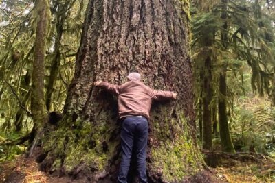 Rainforest, Beach, and Olympic National Park Highlights