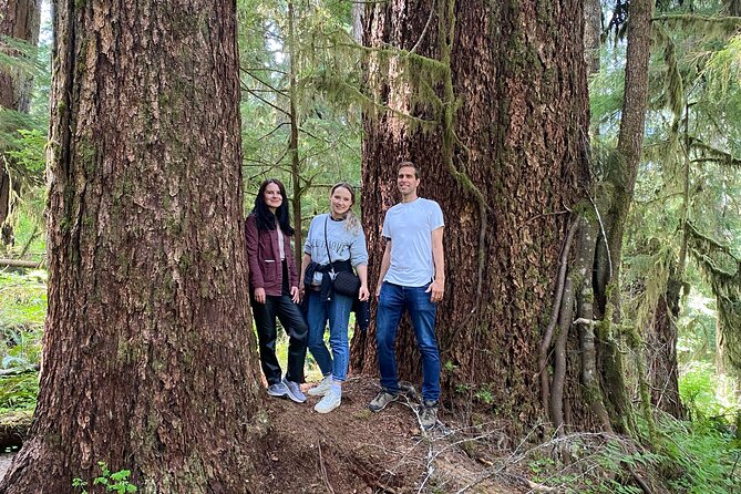 Seattle: Rainforest, Beach, and Olympic National Park Highlights - Forks for lunch: quick stop, Twilight fan energy, and real food choices