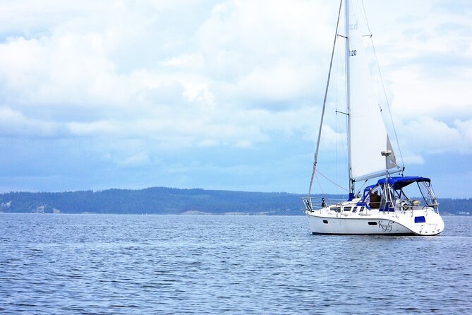 Seattle's Best Private Sailing Adventure on the Puget Sound BYOB! - Wildlife on the Water, From Seals to Possible Whales